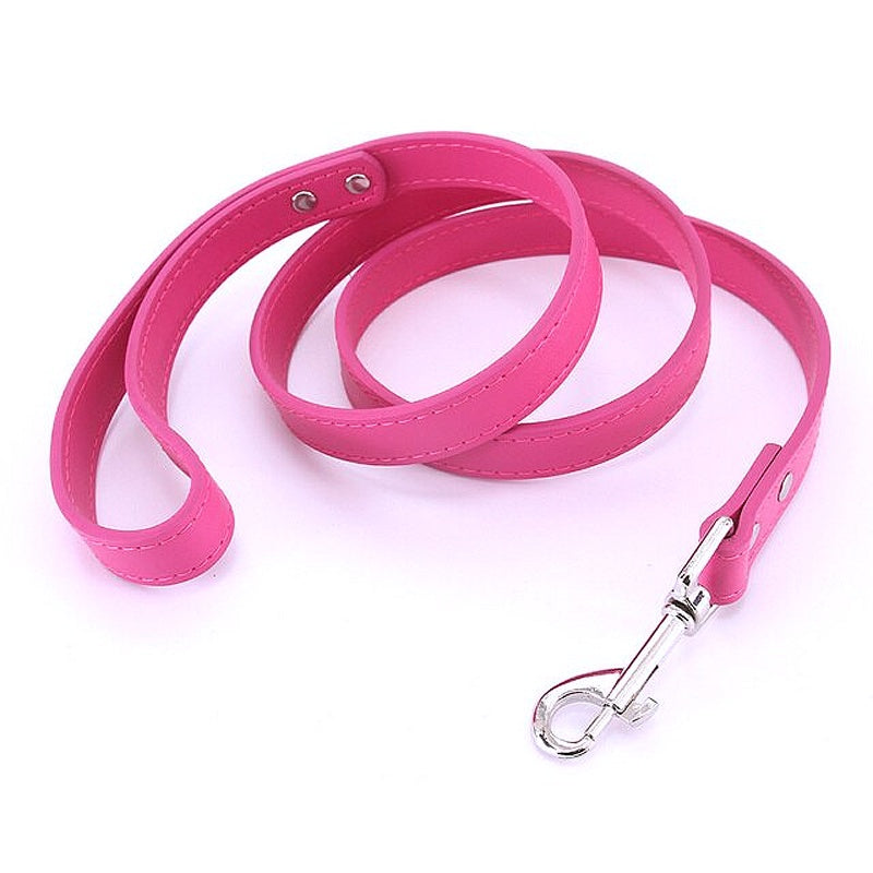 16 Colors Leather Dog Leash - My Puppy Fresh