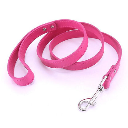 16 Colors Leather Dog Leash - My Puppy Fresh
