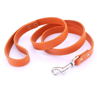 16 Colors Leather Dog Leash - My Puppy Fresh