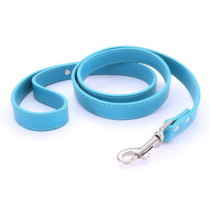 16 Colors Leather Dog Leash - My Puppy Fresh
