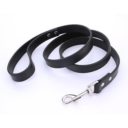 16 Colors Leather Dog Leash - My Puppy Fresh