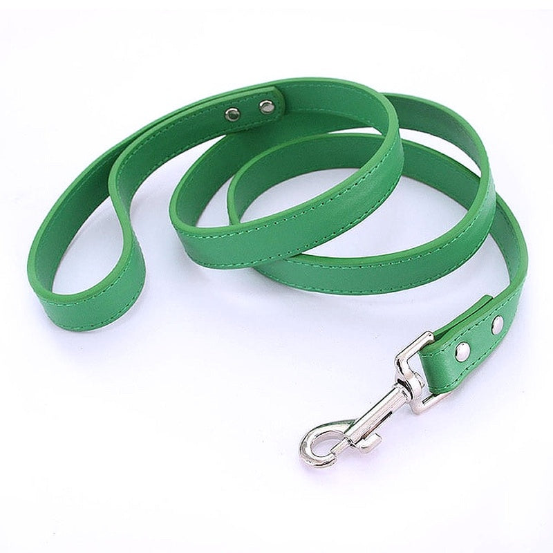 16 Colors Leather Dog Leash - My Puppy Fresh