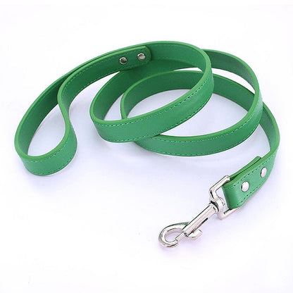 16 Colors Leather Dog Leash - My Puppy Fresh