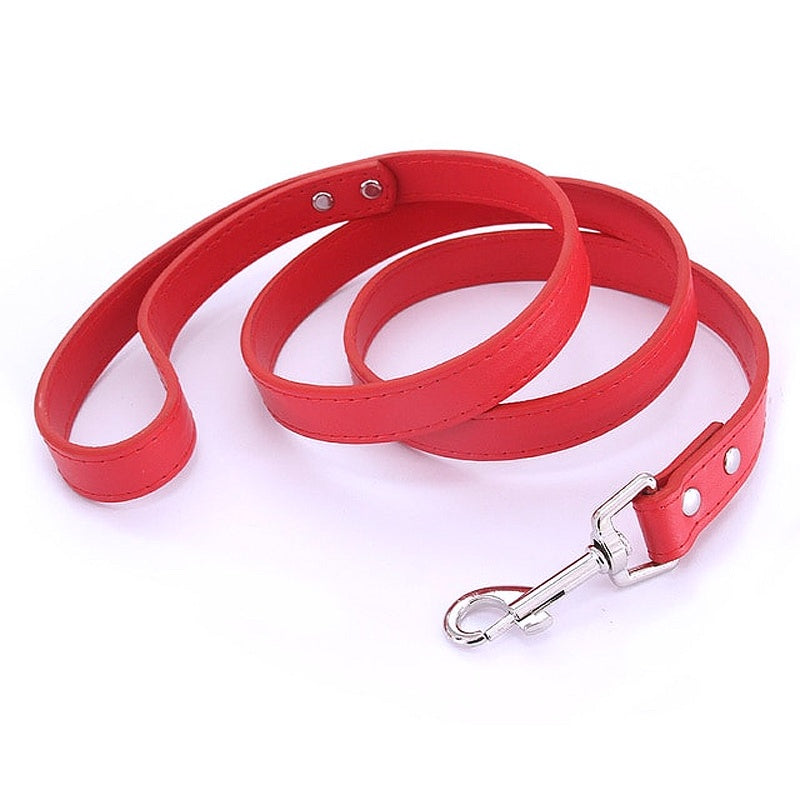 16 Colors Leather Dog Leash - My Puppy Fresh
