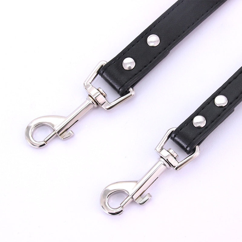 16 Colors Leather Dog Leash - My Puppy Fresh