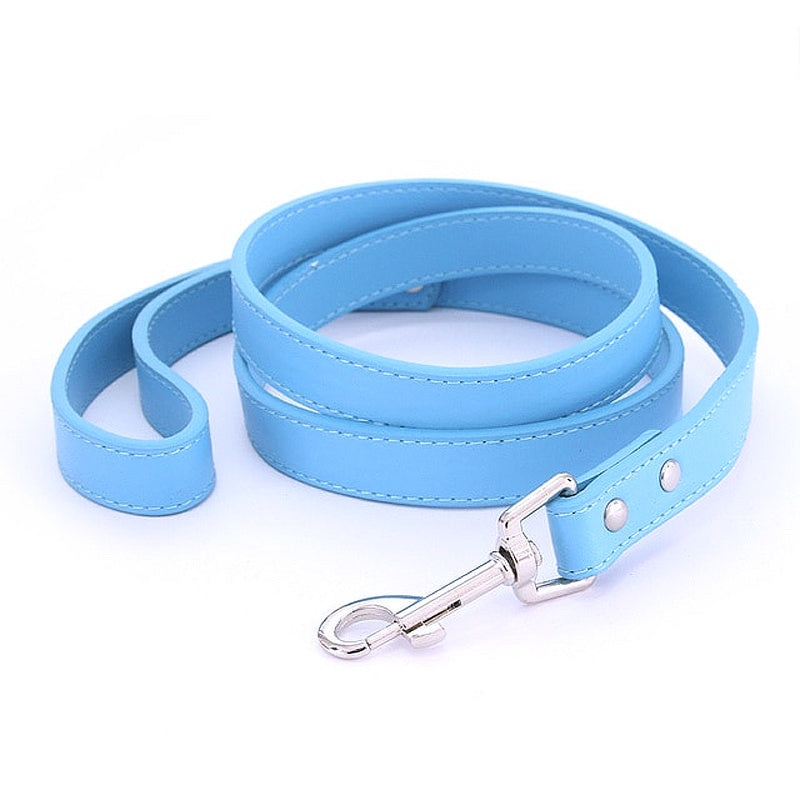 16 Colors Leather Dog Leash - My Puppy Fresh