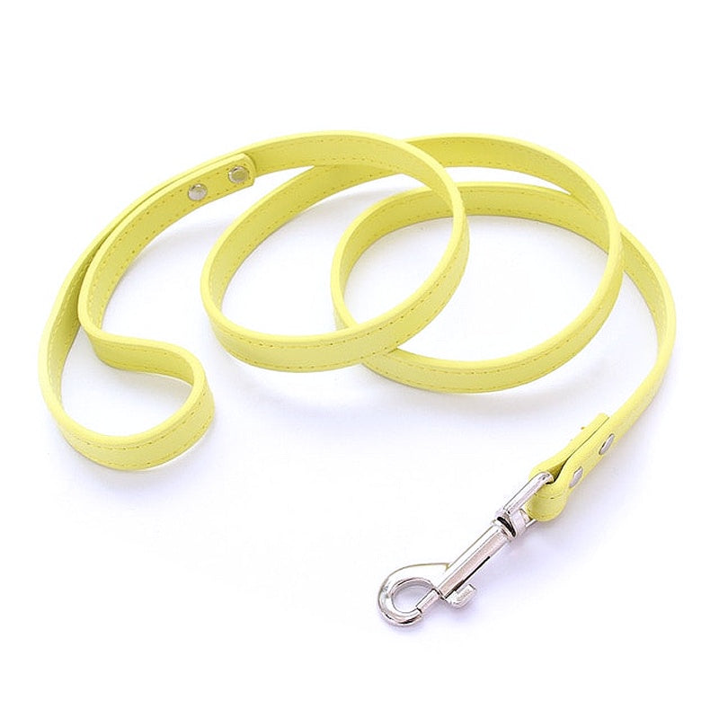 16 Colors Leather Dog Leash - My Puppy Fresh