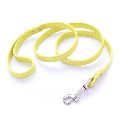 16 Colors Leather Dog Leash - My Puppy Fresh