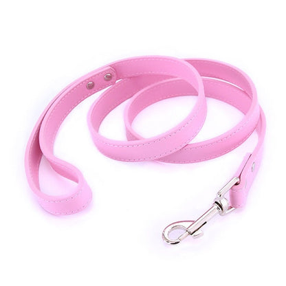 16 Colors Leather Dog Leash - My Puppy Fresh