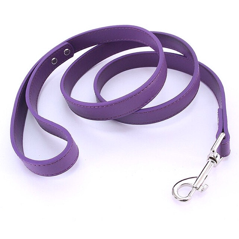 16 Colors Leather Dog Leash - My Puppy Fresh