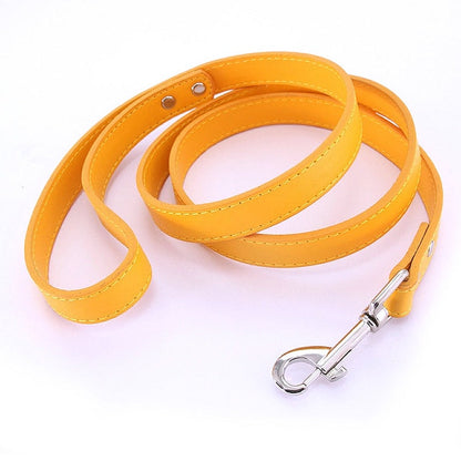 16 Colors Leather Dog Leash - My Puppy Fresh