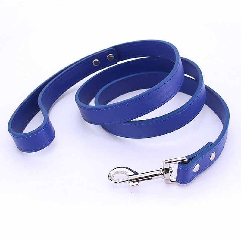 16 Colors Leather Dog Leash - My Puppy Fresh