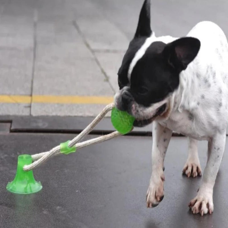 Dog Suction Tug Toy - My Puppy Fresh