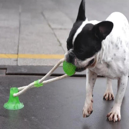 Dog Suction Tug Toy - My Puppy Fresh