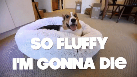 Donut Faux Fur Pet Bed - My Puppy Fresh