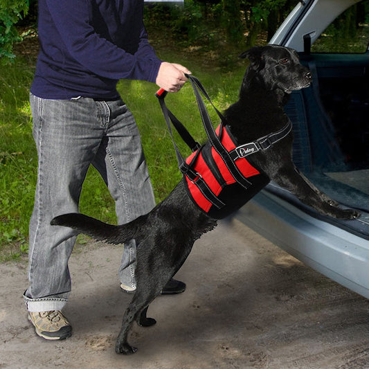 Reflective Lift Dog Harness -  Little-Fresh - []